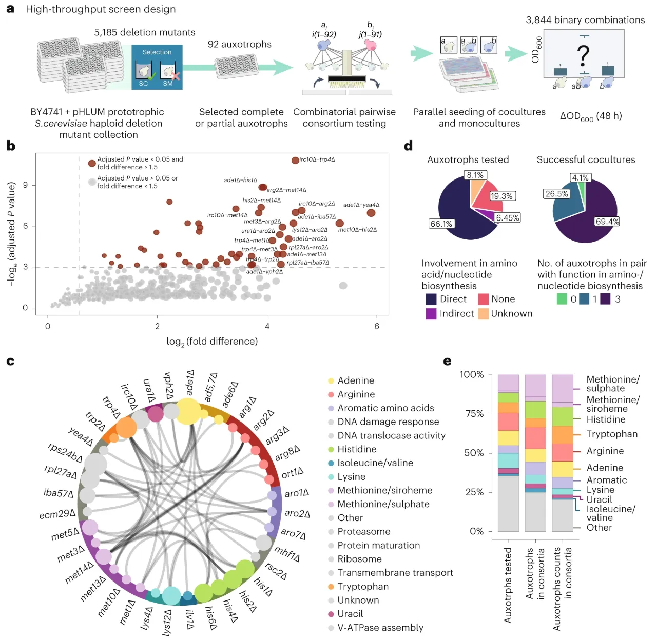 Summary schematic of the high-throughput yeast co-culture screen.