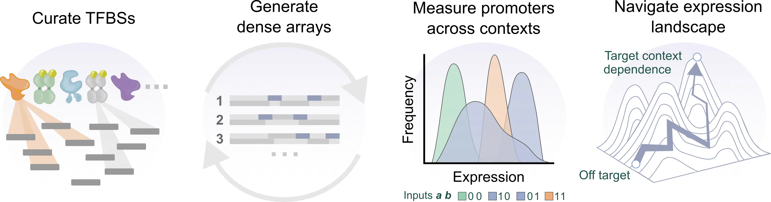 Promoter design workflow overview for sequence-to-expression active learning.