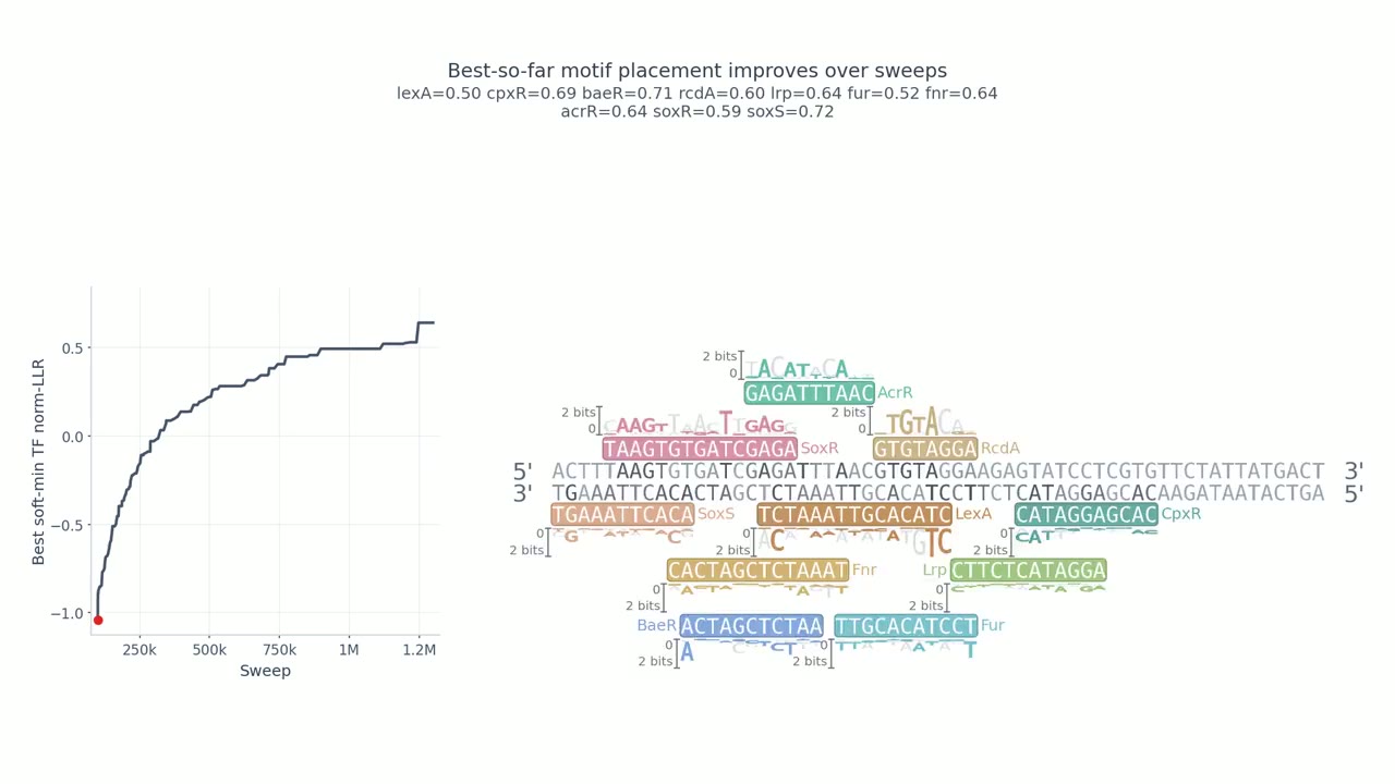 Cruncher chain trajectory preview for annealed DNA motif optimization.